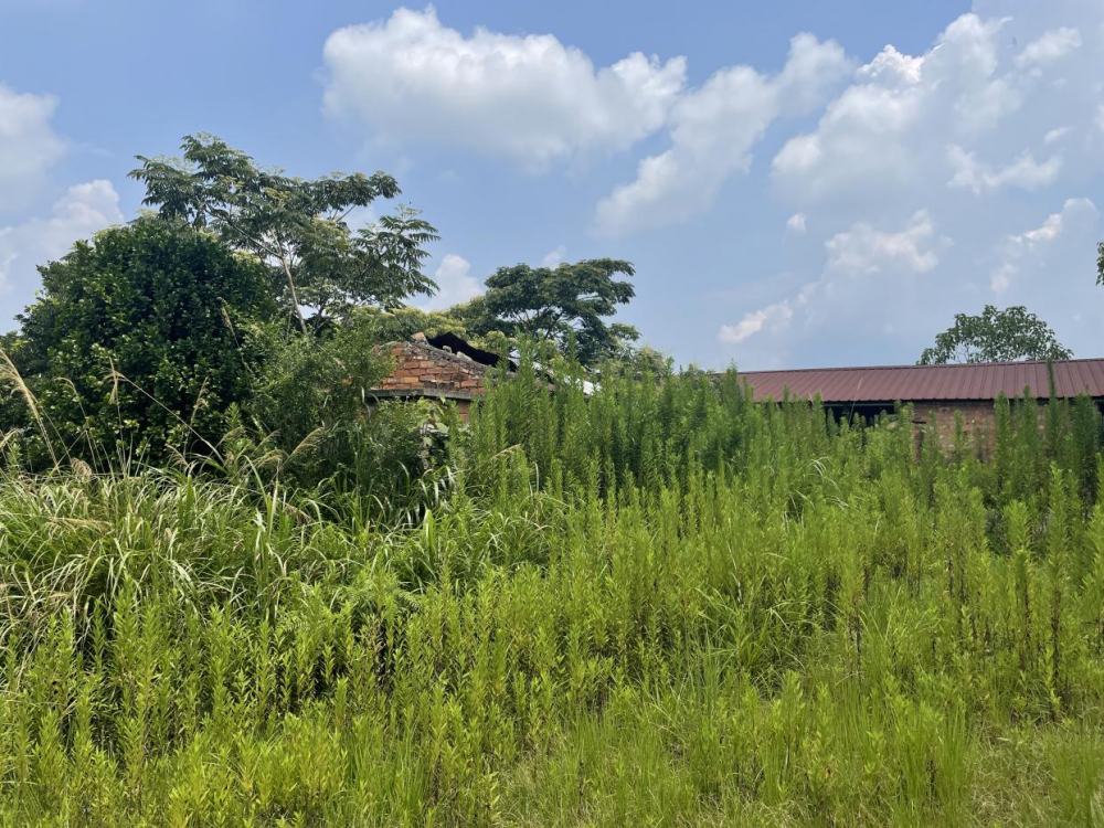 1700706471504296.png 圖片1.png