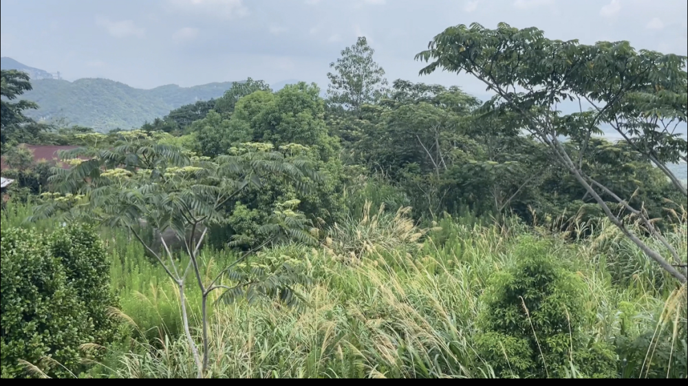 1700706476600254.png 圖片2.png